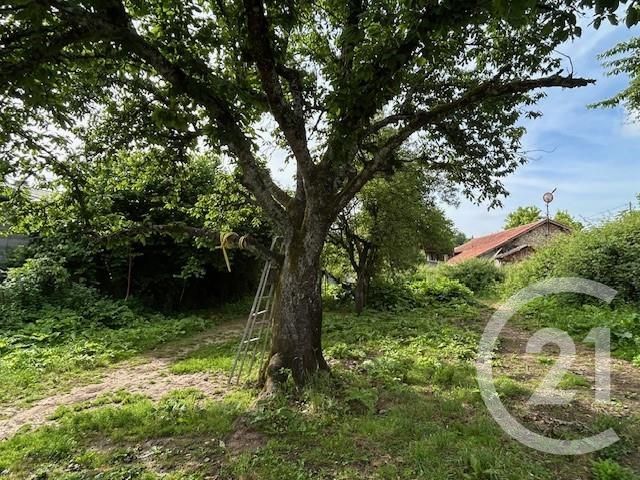 Maison à vendre - 3 pièces - 79,80 m2 - Monsempron Libos - 47 - AQUITAINE