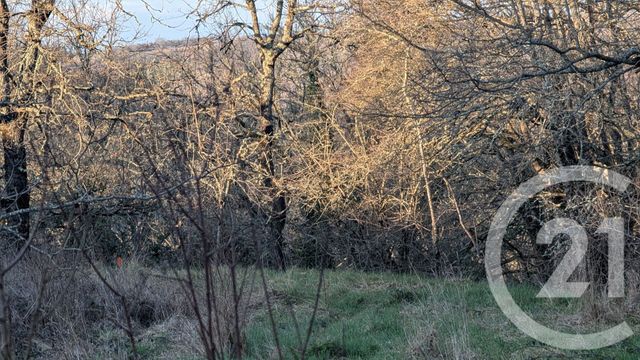 Terrain à vendre - 1603 m2 - Beauville - 47 - AQUITAINE